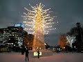 ?????????????whiteillumination?? ?????????????whiteillumination??