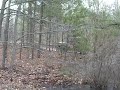 Video screenshot