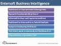 Entersoft Business Suite Presentation in Romanian