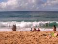 Waimea North Shore on the beach oahu 111608