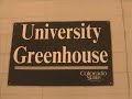 go green at csu