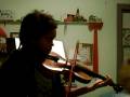 Little Turtle - Violin Cover
