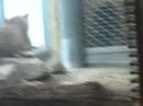 Hellabrunn 2 Hellabrunn 2