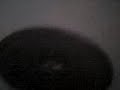 test g?o?nik�w
