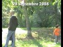 asini e pecore al parco del nobile