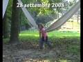 videos de asini e pecore al parco del nobile