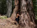 Actor / Comic Has a Funny Encounter with Redwood