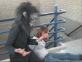 Monkey slam trailer!