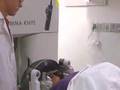 Live Webcast: Gamma Knife Radiosurgery 