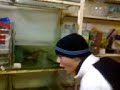 Ti sou lene ta psarakia,Aleko??? Ti sou lene ta psarakia,Aleko???