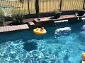 Swimming