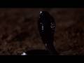 The Last Temptation of Christ