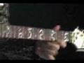 The audience is listening by Steve Vai