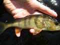 2007 WORLD FLY FISHING CHAMPIONSHIPS FINLAND