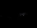 Whippoorwill Whippoorwill