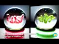 Deadly Sins (Snowglobes) by Nora Ligorano and Marshall Reese / Eyebeam Open Studios #art #design #interview #video