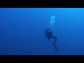 Diving at Zenobia