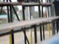 Ratones Pacific en la Kynta Region 1er Video