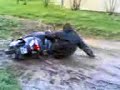 scooter des mers sur terre