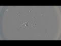 Diatoms in action