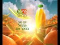 Oranges