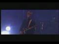 Interpol-Stella-was-