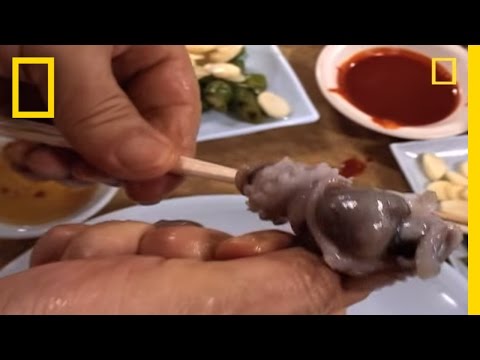 How To Eat a Live Octopus