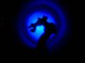 videos de girafa gost