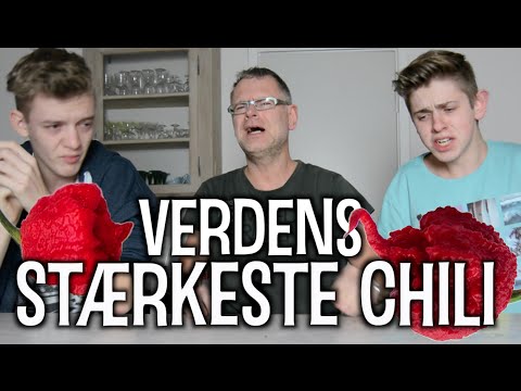 Novopleco Spiser Verdens Stærkeste Chili!