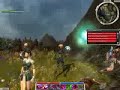 Guild Wars Factions: Fighting