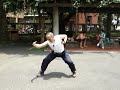 Four changing palm postures of Baguaquan ????