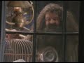 HARRY POTTER DOBLAJE SAQUENCELA