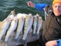 Ebroguiding mit Bruno Ebroguiding mit Bruno