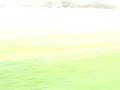 videos de welfare barmy army
