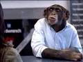 trunk monkey 10