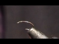 bwo emerger.flv