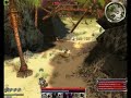 Guild Wars Critical Spike