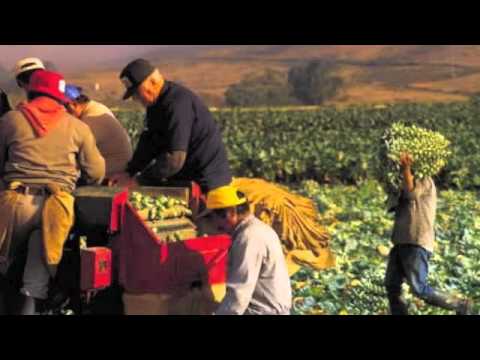 mexican train mexican train