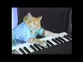 Fernando Vanucci e Vanusa chamando Jesus de meu loro! PLAY HIM OFF!!! KEYBOARDCAT!!!!! ... melhores do mundo fernando vanucci bebado vanusa bebada keyboard cat 