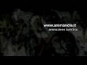 animandia sigla spot - Remix!