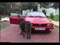 GTV fahren macht Spass