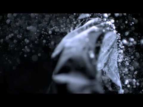 ISAORA Winter | Video ISAORA Winter | Video