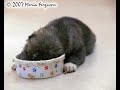 new-life.html