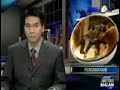 Anak Bupati Menganiaya Pejabat Dinas PU