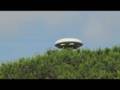 The truth about extraterrestrial UFO's