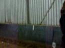 tusha in de galop