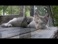 chernobyl   pripyat 2007