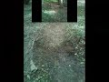 dirt-and-crooss dirt-and-crooss