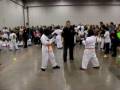 orange belt tournement sparring