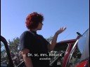 Utrka 1000 otoka Official trailer Utrka 1000 otoka Official trailer